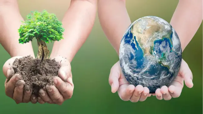 World Environment Day 2024 Wishes, Quotes, Messages, Facebook Whatsapp Status In Hindi