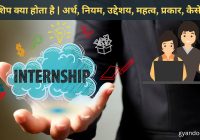 Internship in hindi