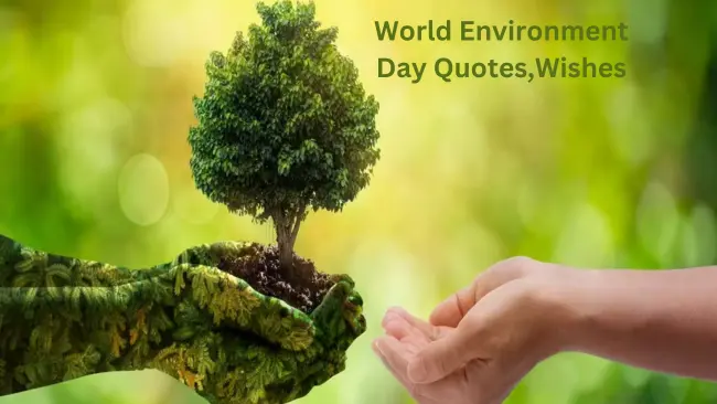 Environment Day Quotes, Wishes
