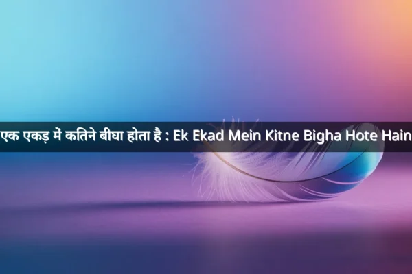एक एकड़ में कितने बीघा होता है : Ek Ekad Mein Kitne Bigha Hote Hain
