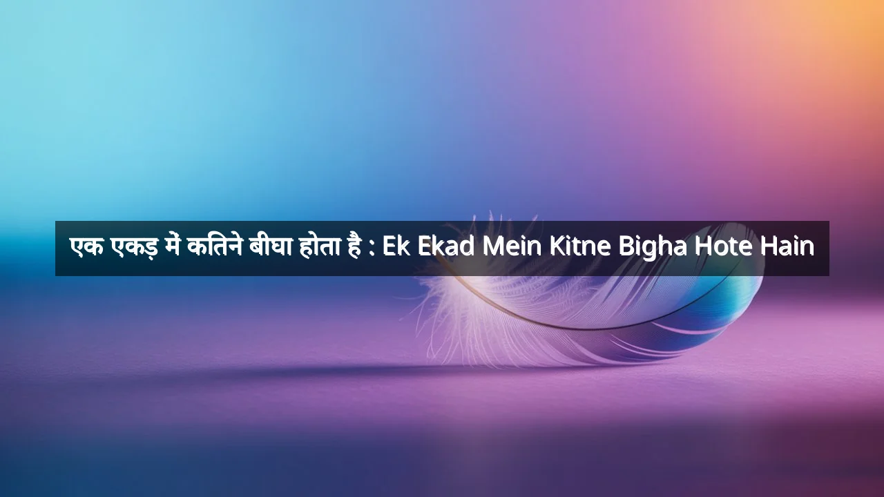 एक एकड़ में कितने बीघा होता है : Ek Ekad Mein Kitne Bigha Hote Hain